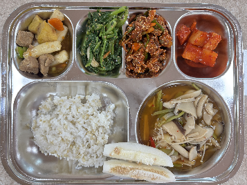 점심식사 사진
